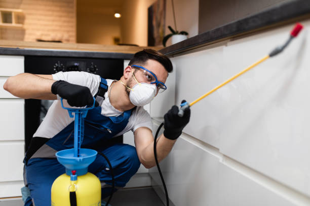 Best Pest Prevention Services  in Caryville, TN