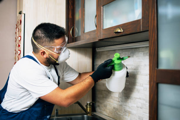 Best Pest Control Near Me in Caryville, TN