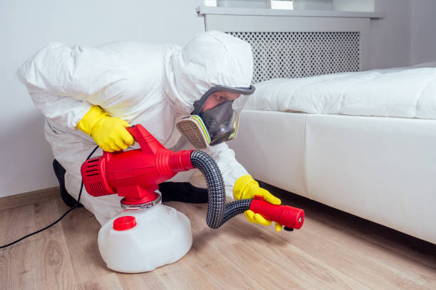 Best Termite Control Services  in Caryville, TN