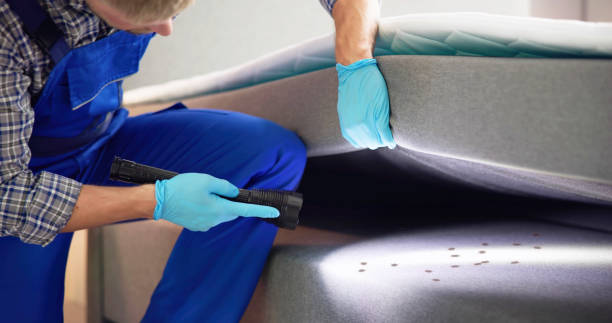 Best Bed Bug Extermination  in Caryville, TN